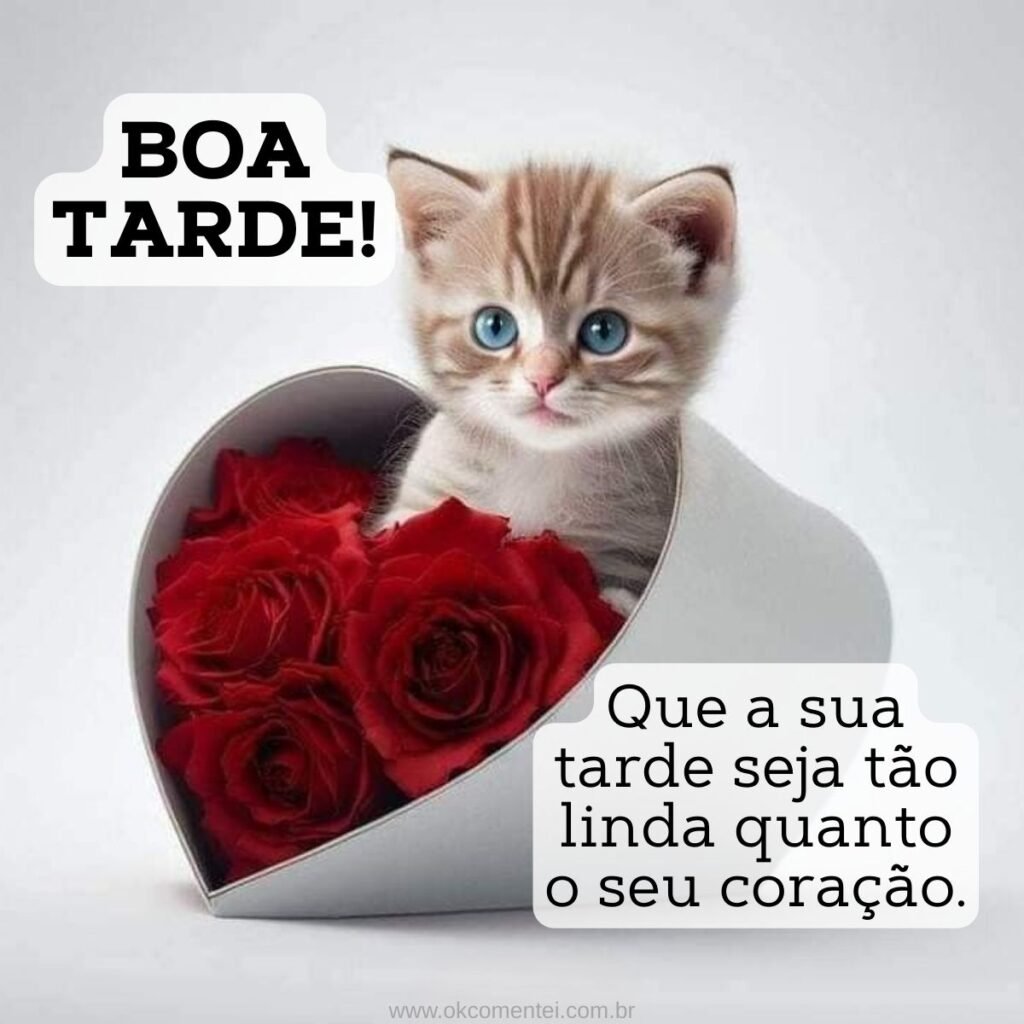 31 mensagens de boa tarde com carinho para WhatsApp mensagem-de-boa-tarde-com-carinho