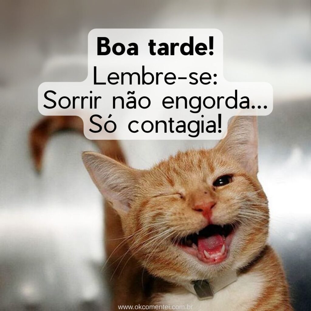 31 mensagens de boa tarde com carinho para WhatsApp mensagem-de-boa-tarde-com-carinho