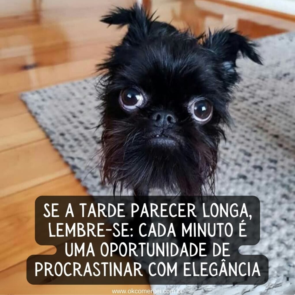 31 mensagens de boa tarde com carinho para WhatsApp mensagem-de-boa-tarde-com-carinho