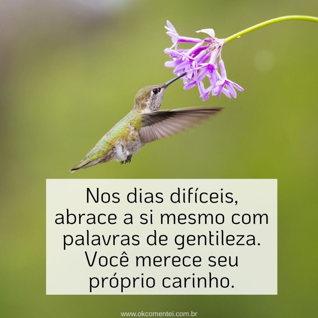 71 mensagens de força e fé em momentos difíceis mensagens-de-força-e-fé-em-momentos-difíceis