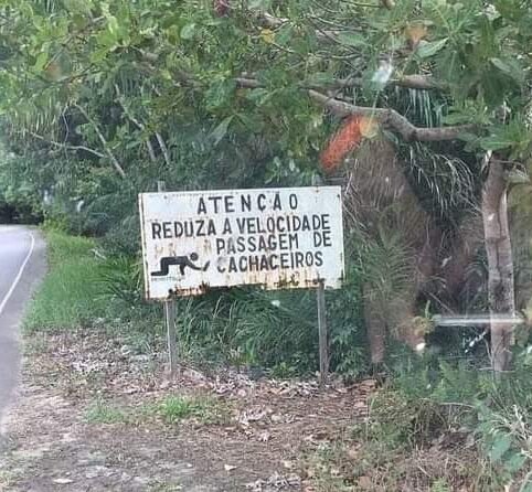 62 placas engraçadas: as mais hilárias que provam que se tem placa, tem história 62 placas engraçadas: as mais hilárias que provam que se tem placa, tem história As placas engraçadas mais inusitadas e hilárias do Brasil e do mundo. Afinal, se tem placa, tem história para contar!