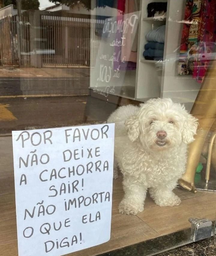 62 placas engraçadas: as mais hilárias que provam que se tem placa, tem história placas-engraçadas-se-tem-placa-tem-história