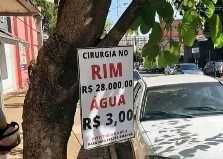 62 placas engraçadas: as mais hilárias que provam que se tem placa, tem história placas-engraçadas-se-tem-placa-tem-história