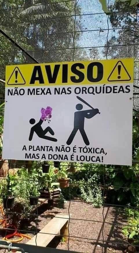 62 placas engraçadas: as mais hilárias que provam que se tem placa, tem história placas-engraçadas-se-tem-placa-tem-história