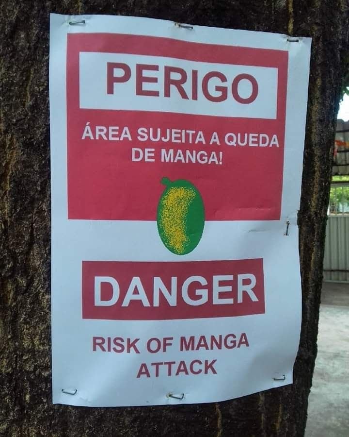 62 placas engraçadas: as mais hilárias que provam que se tem placa, tem história placas-engraçadas-se-tem-placa-tem-história