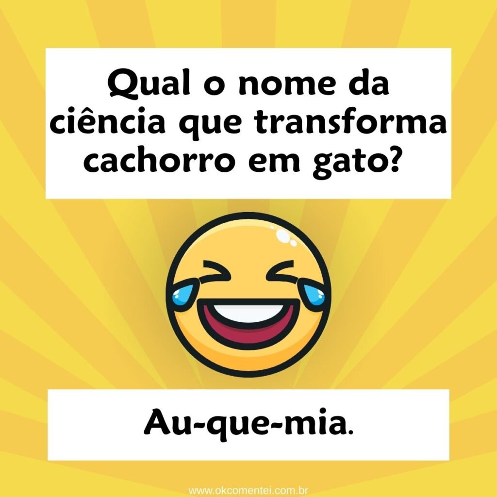 101 trocadilhos engraçados para você rachar o bico trocadilhos-engraçados
