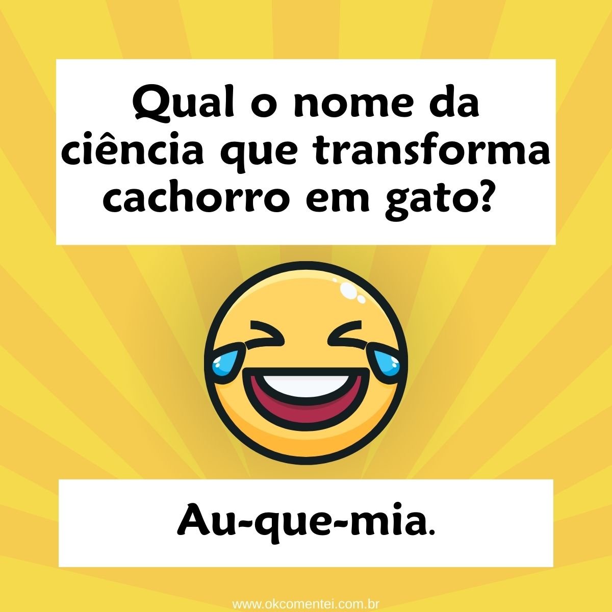 Piado 101 trocadilhos engraçados para você rachar o bico