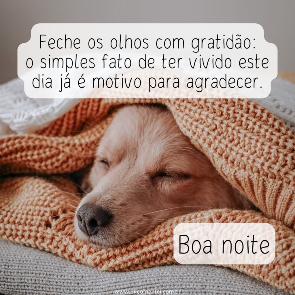 Boa noite, segunda-feira: 52 mensagens para começar bem a semana boa-noite-segunda-feira