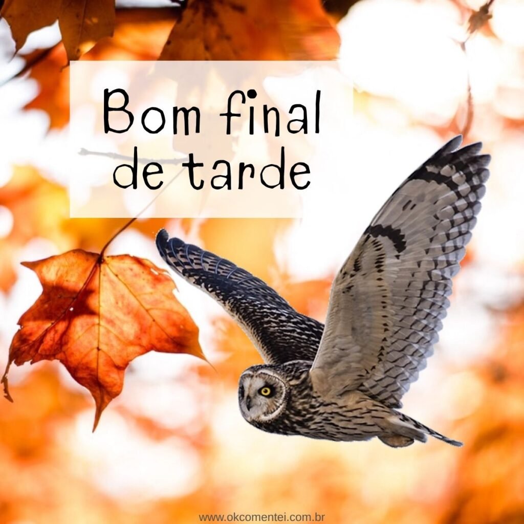 21 imagens de bom final de tarde para compartilhar no WhatsApp bom-final-de-tarde