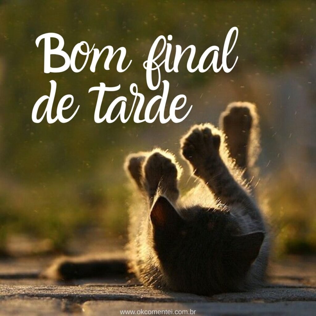21 imagens de bom final de tarde para compartilhar no WhatsApp bom-final-de-tarde
