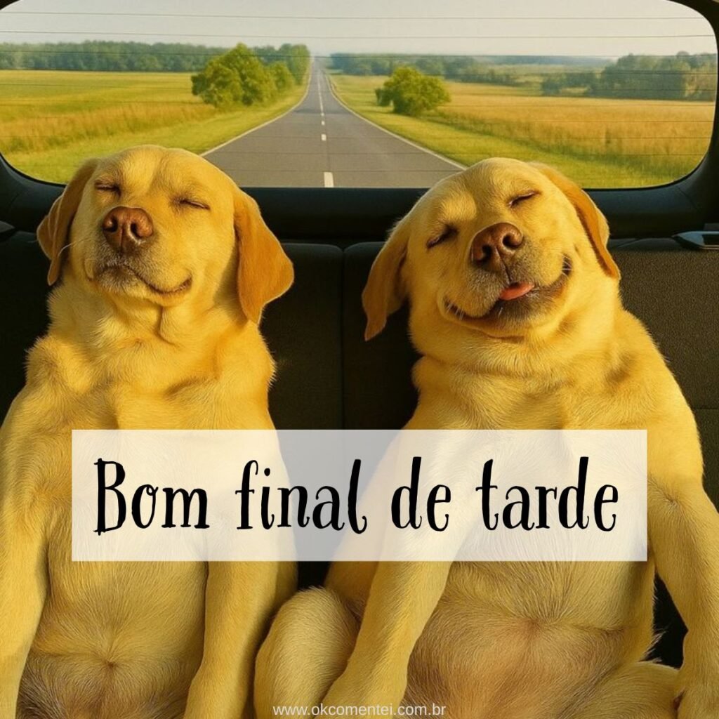 21 imagens de bom final de tarde para compartilhar no WhatsApp bom-final-de-tarde