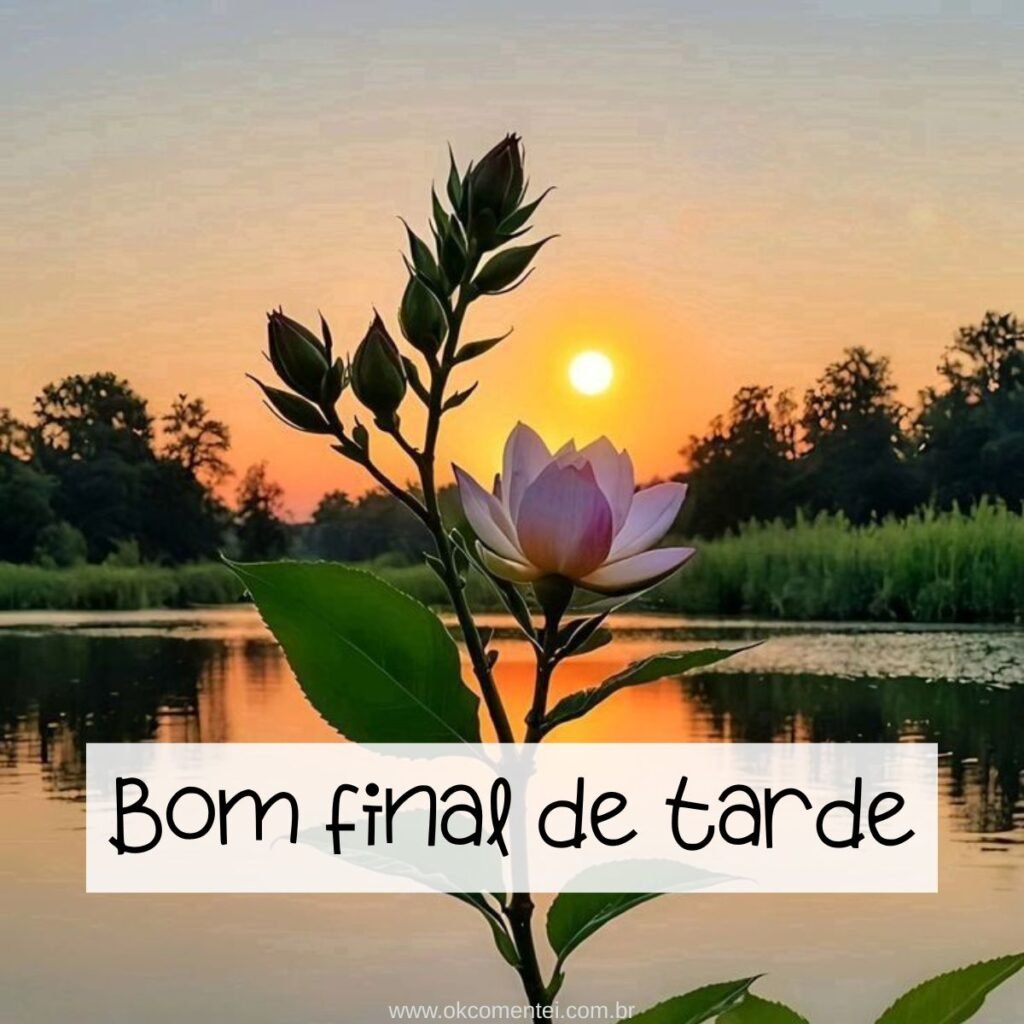 21 imagens de bom final de tarde para compartilhar no WhatsApp bom-final-de-tarde