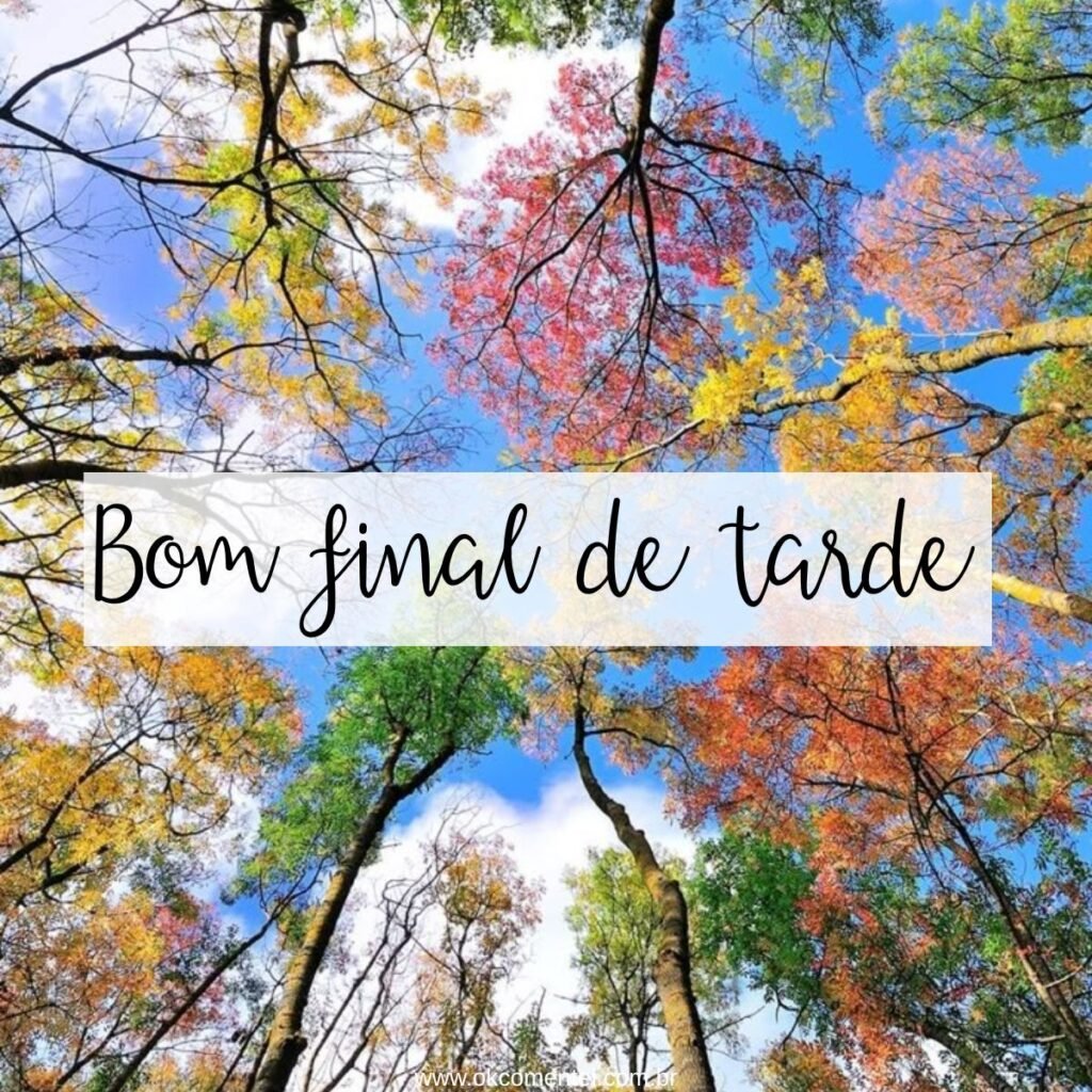 21 imagens de bom final de tarde para compartilhar no WhatsApp bom-final-de-tarde