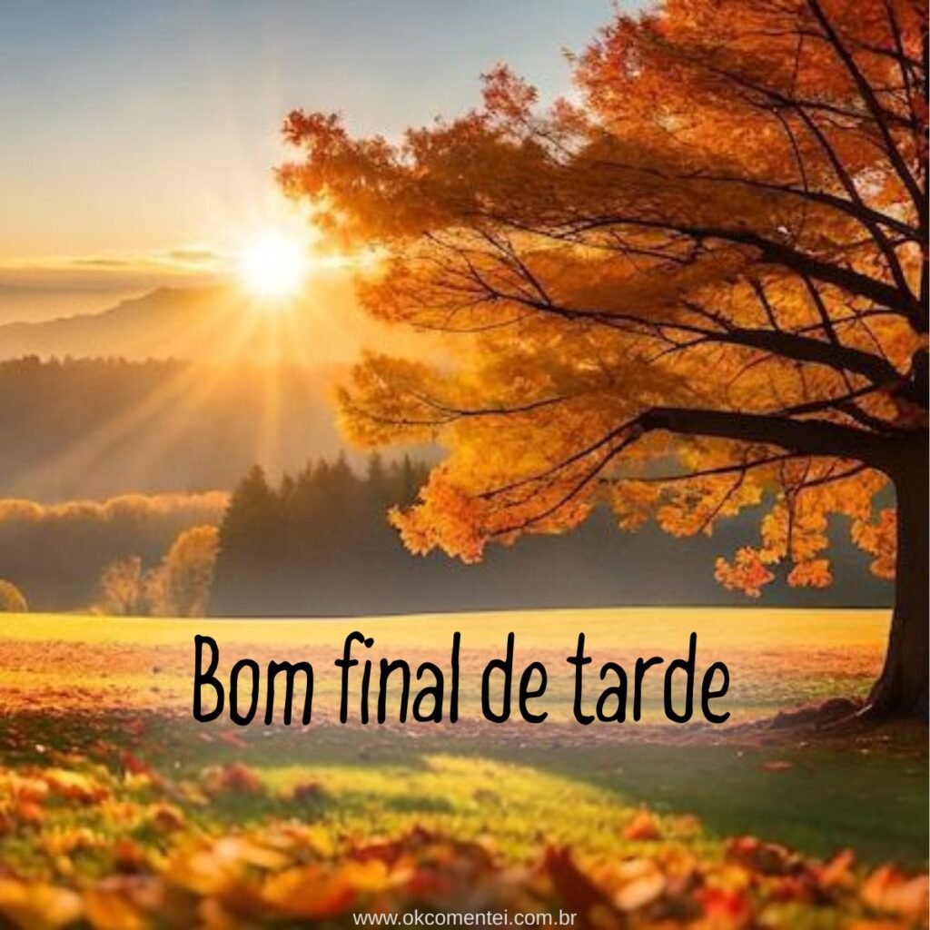 21 imagens de bom final de tarde para compartilhar no WhatsApp bom-final-de-tarde