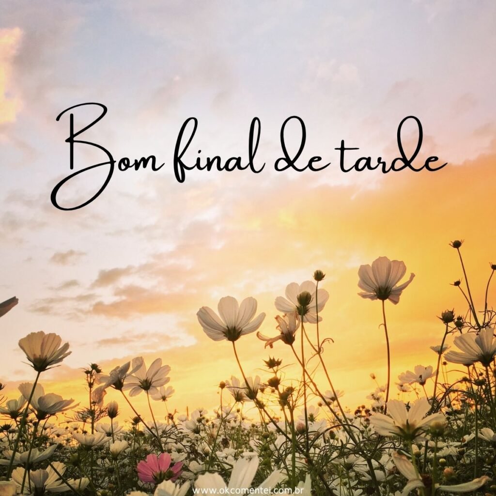 21 imagens de bom final de tarde para compartilhar no WhatsApp bom-final-de-tarde