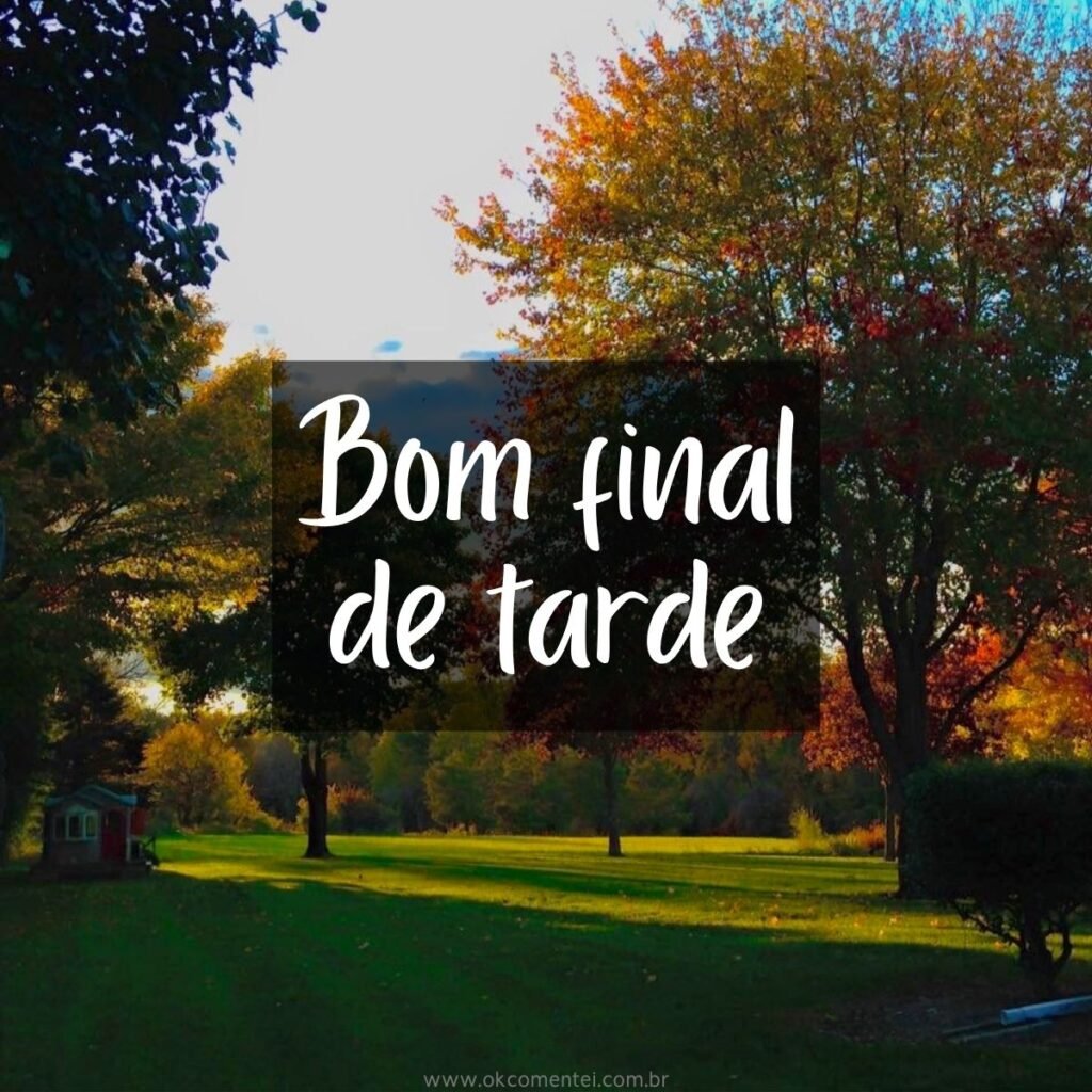 21 imagens de bom final de tarde para compartilhar no WhatsApp bom-final-de-tarde