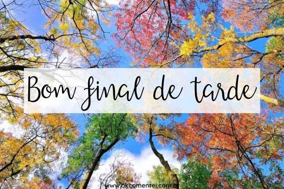bom-final-de-tarde