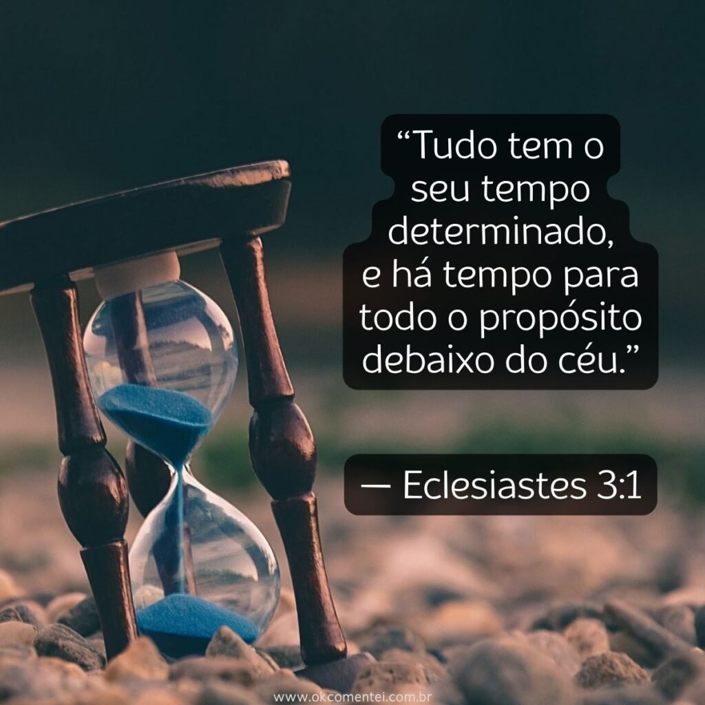 51 frases de sabedoria que transformam sua forma de ver a vida frases-de-sabedoria