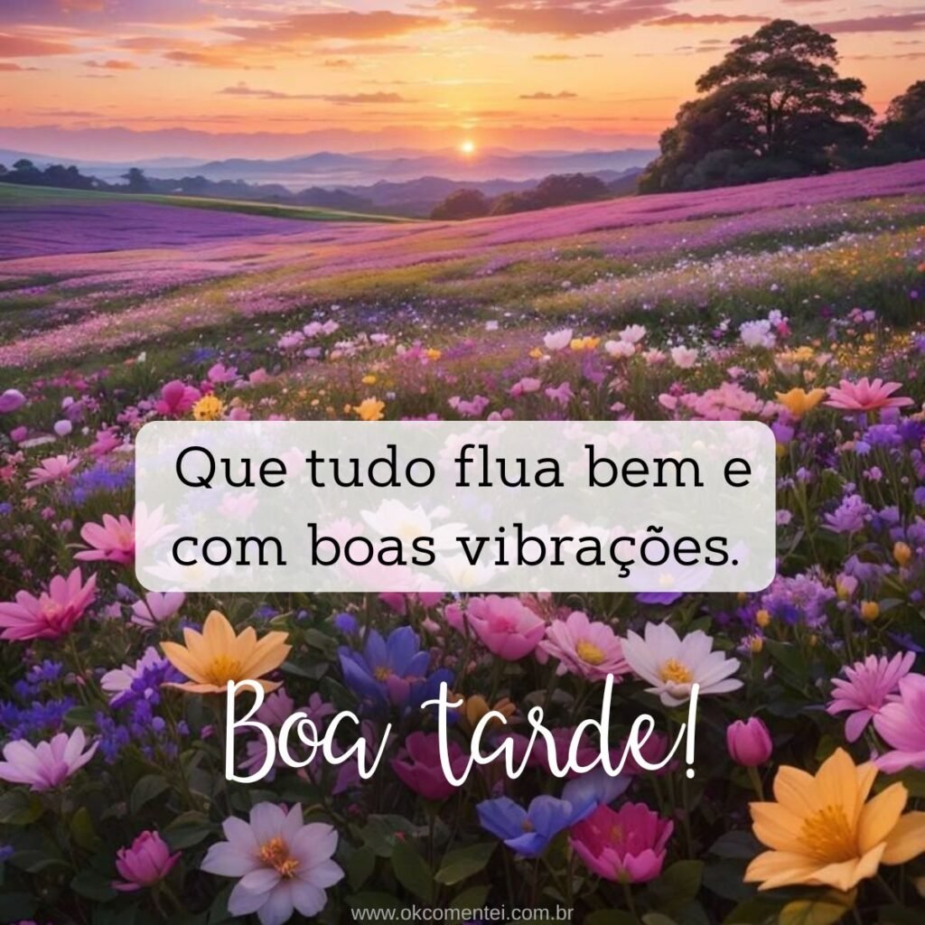 21 mensagens de boa tarde com flores para encantar o dia de alguém mensagem-de-boa-tarde-com-flores