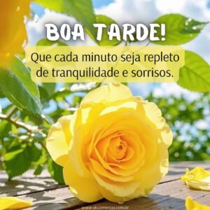 21 mensagens de boa tarde com flores para encantar o dia de alguém