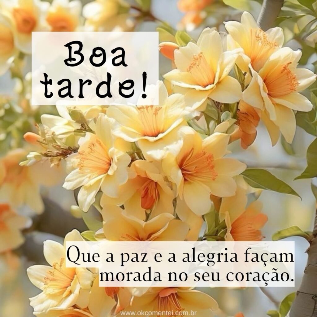 21 mensagens de boa tarde com flores para encantar o dia de alguém mensagem-de-boa-tarde-com-flores