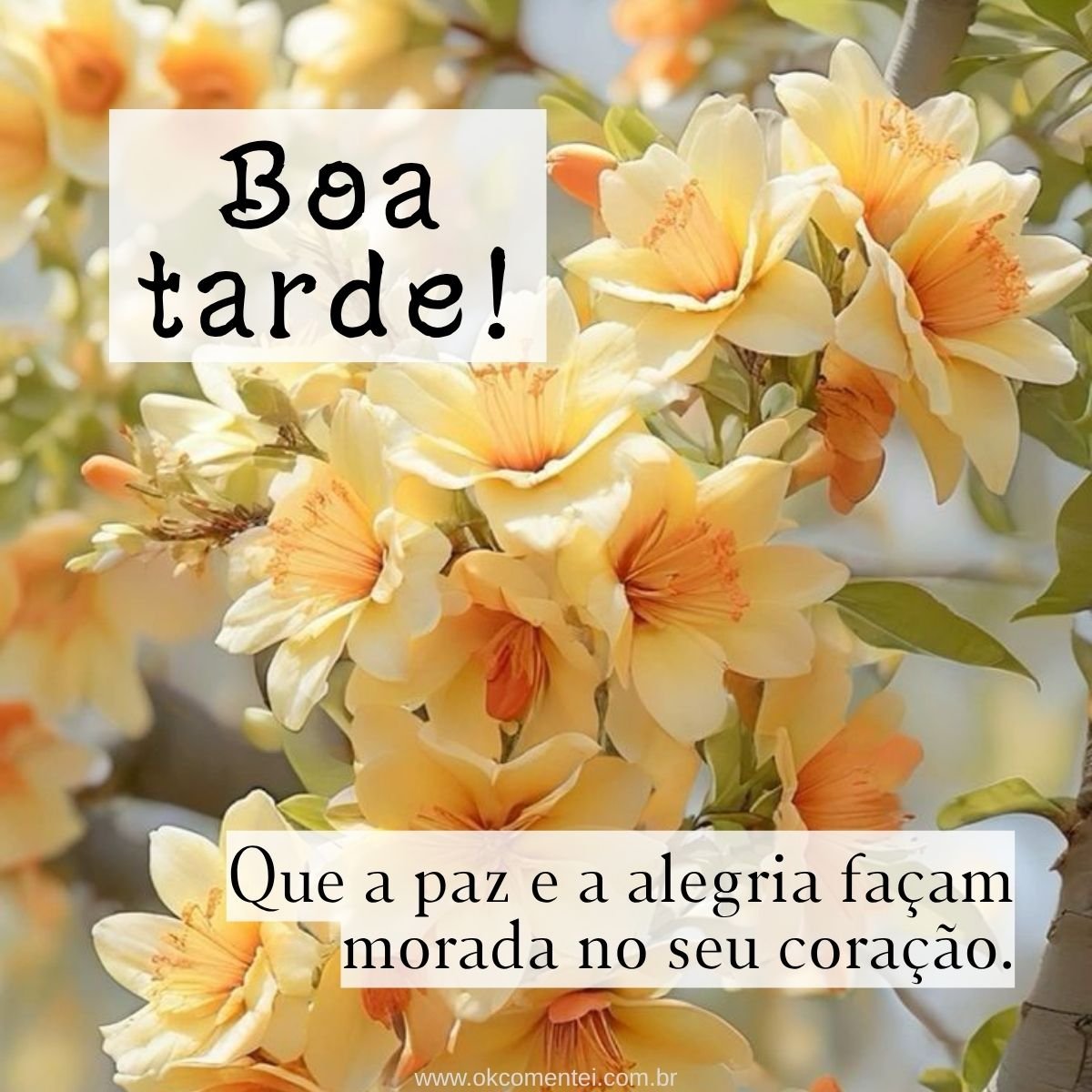 21 mensagens de boa tarde com flores para encantar o dia de alguém