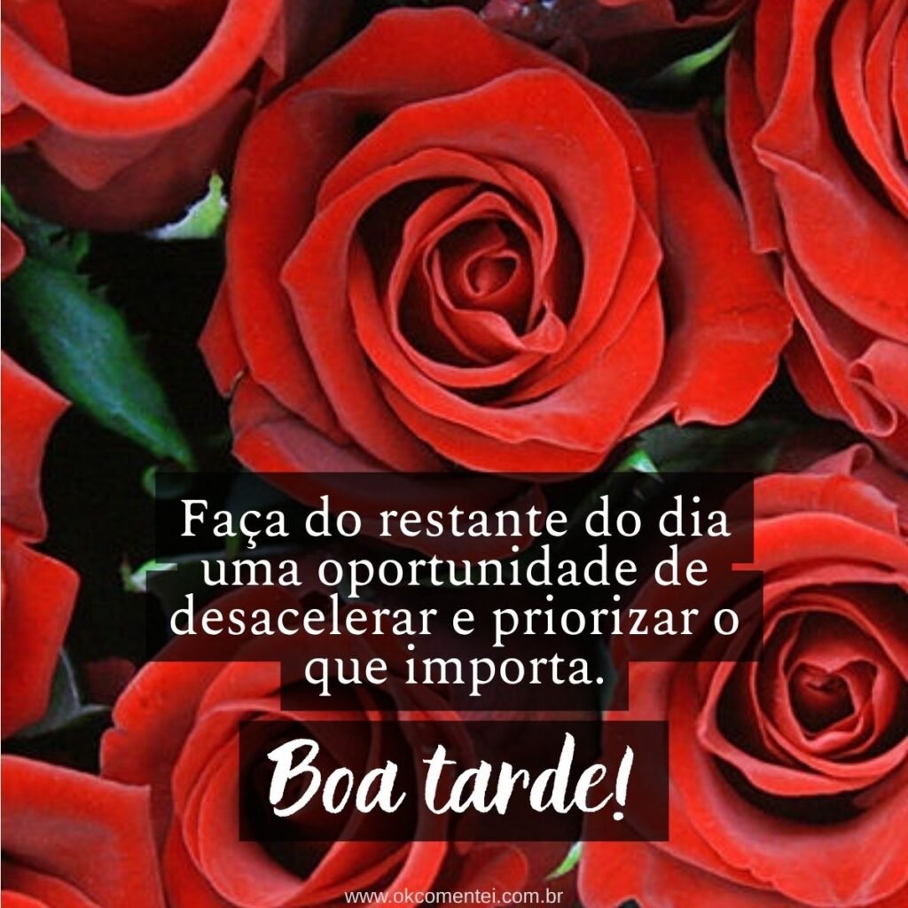 21 mensagens de boa tarde com flores para encantar o dia de alguém mensagem-de-boa-tarde-com-flores