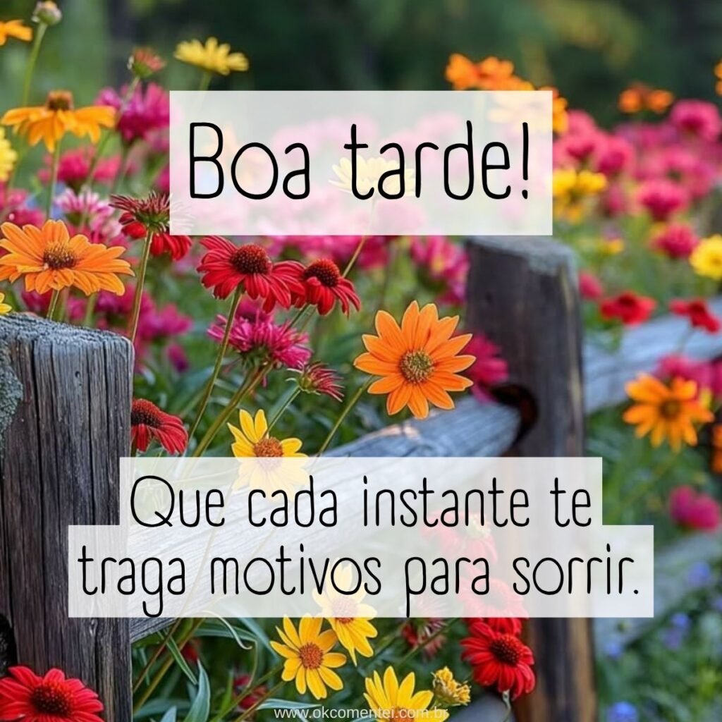 21 mensagens de boa tarde com flores para encantar o dia de alguém mensagem-de-boa-tarde-com-flores