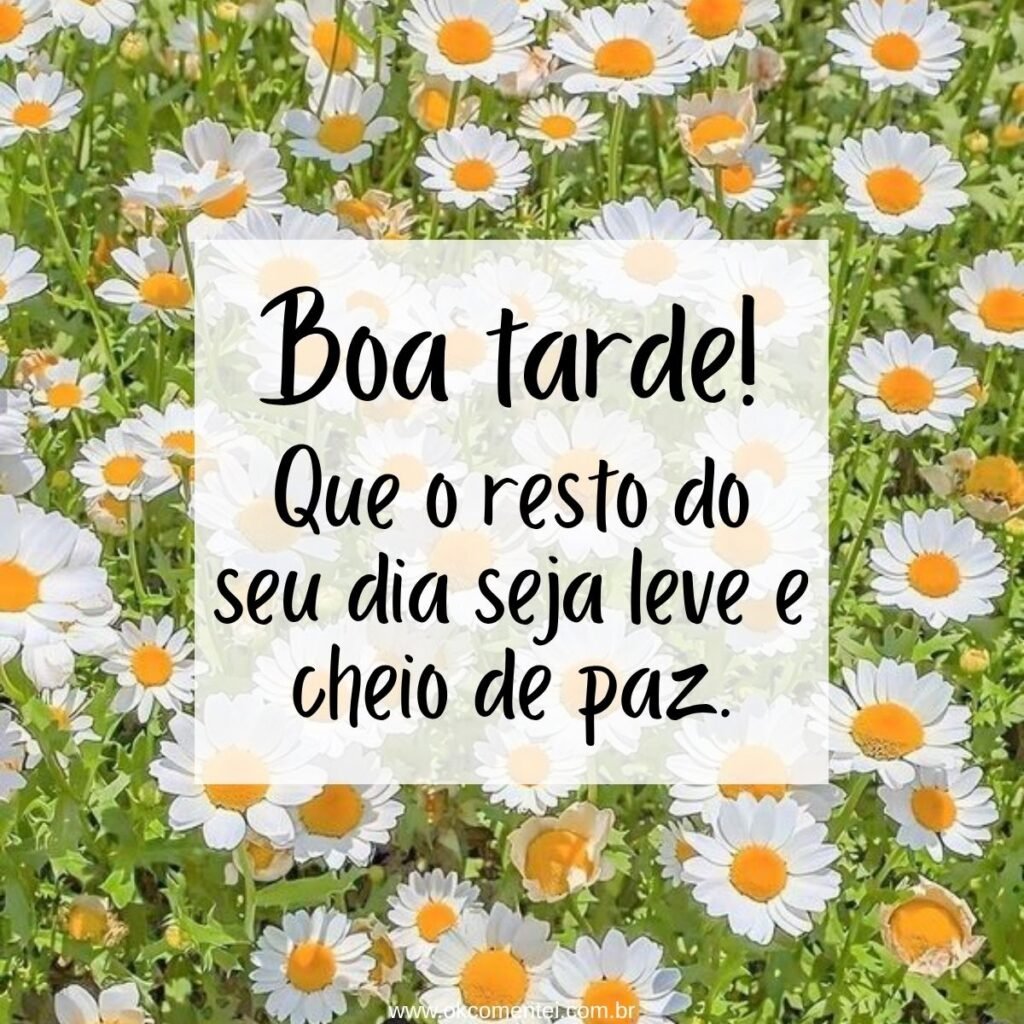21 mensagens de boa tarde com flores para encantar o dia de alguém mensagem-de-boa-tarde-com-flores