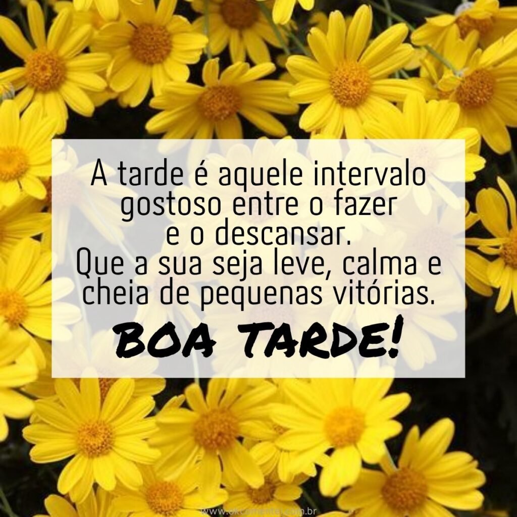 21 mensagens de boa tarde com flores para encantar o dia de alguém mensagem-de-boa-tarde-com-flores