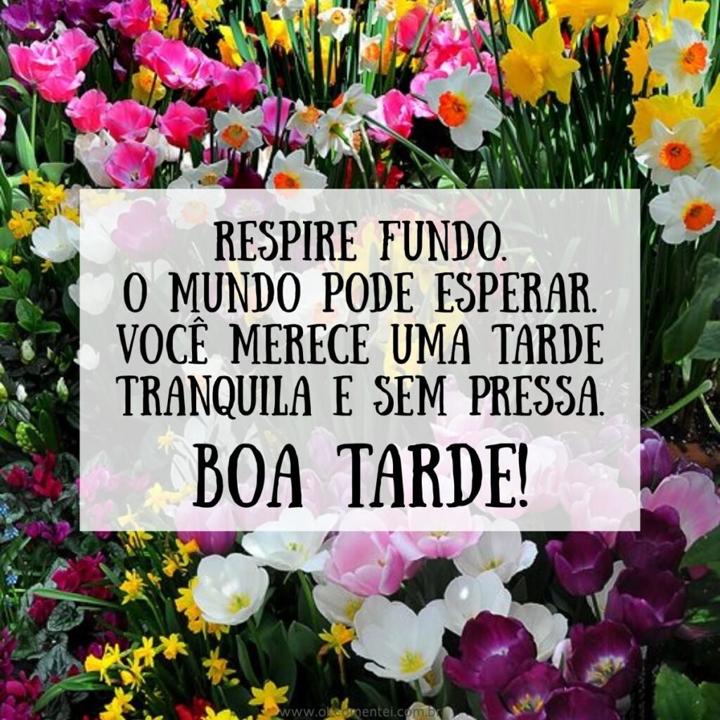 21 mensagens de boa tarde com flores para encantar o dia de alguém mensagem-de-boa-tarde-com-flores