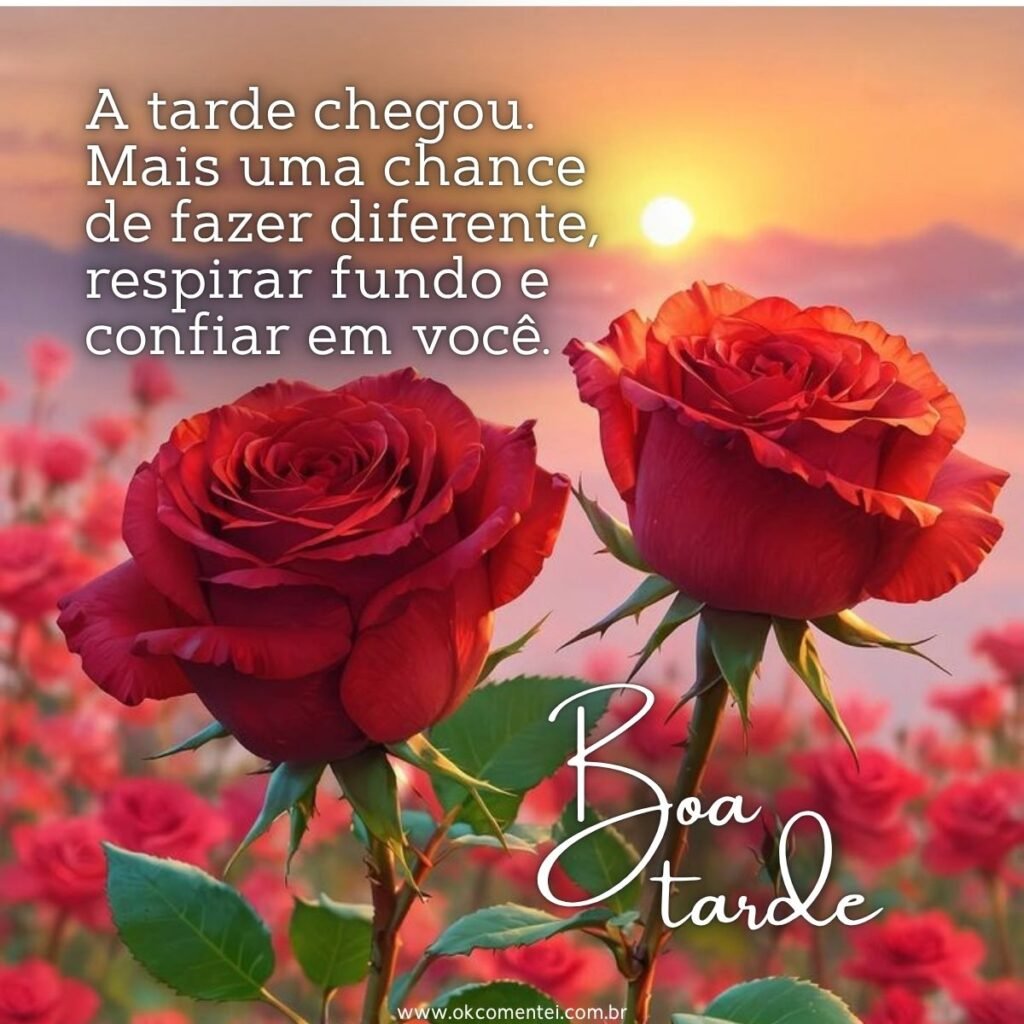 21 mensagens de boa tarde com flores para encantar o dia de alguém mensagem-de-boa-tarde-com-flores