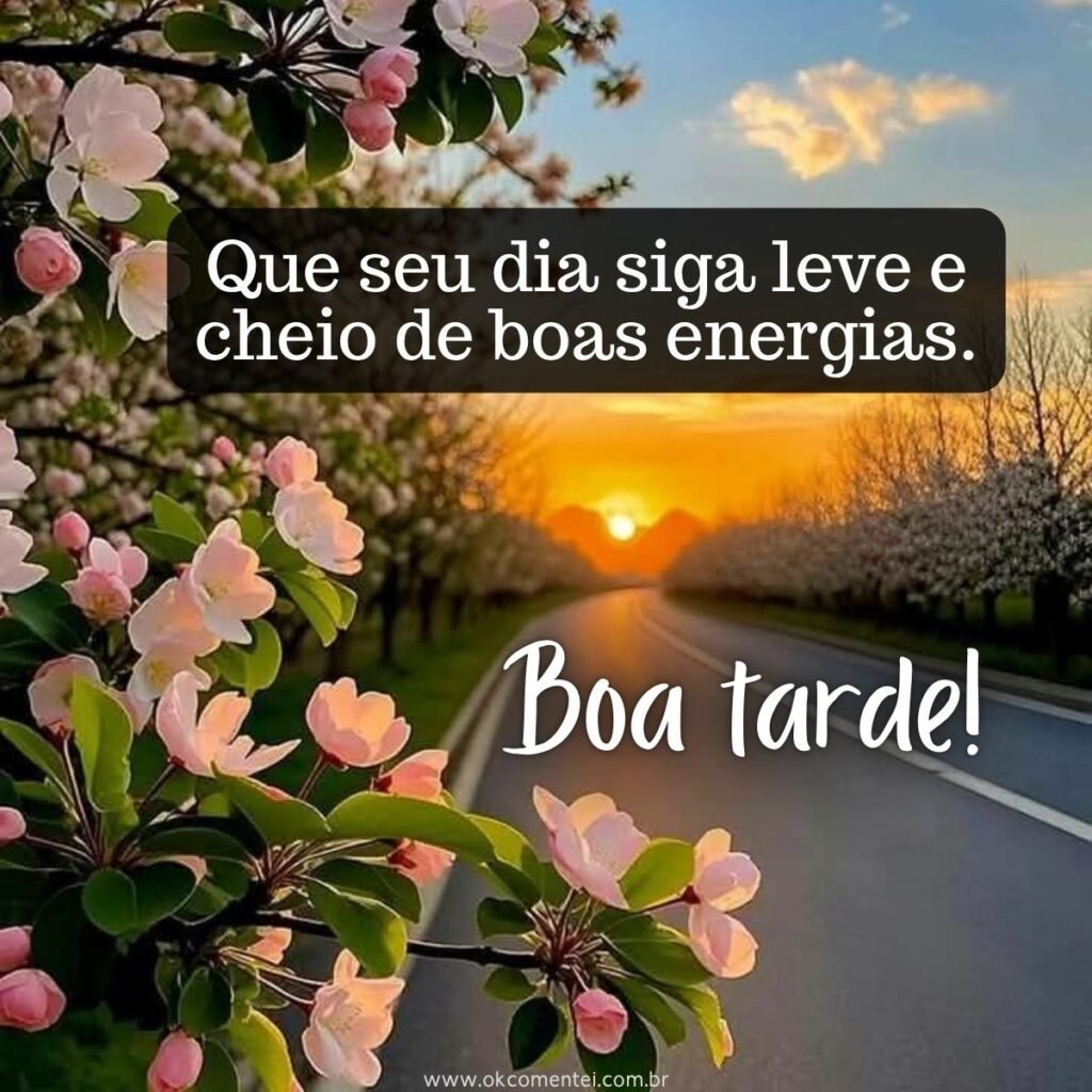 21 mensagens de boa tarde com flores para encantar o dia de alguém mensagem-de-boa-tarde-com-flores