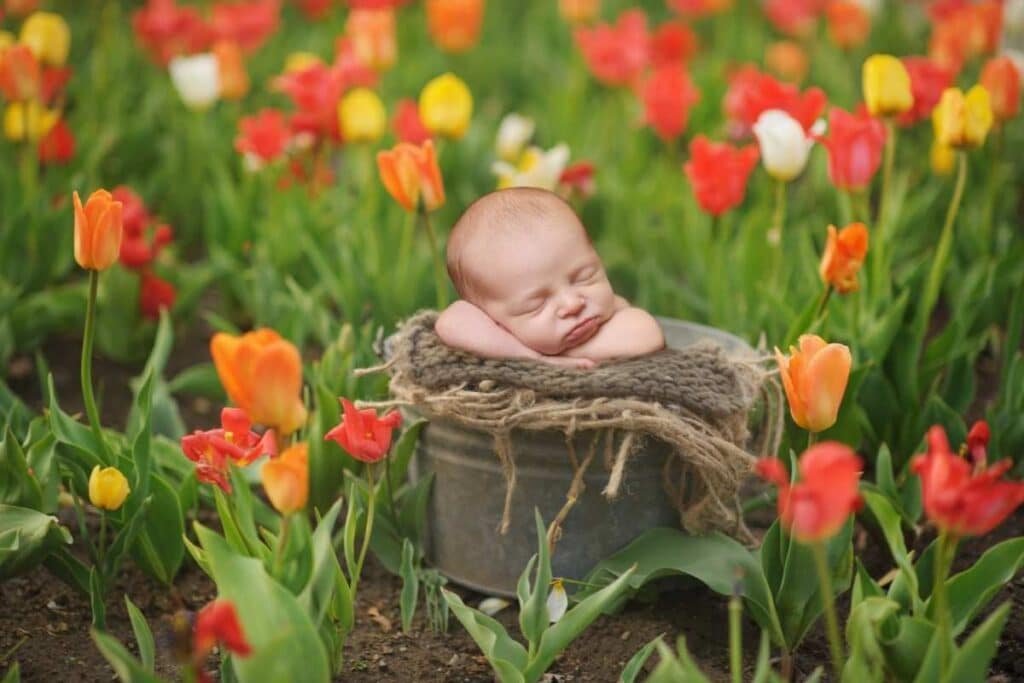63 nomes de flores para meninas delicados e fortes nomes-de-flores-para-meninas