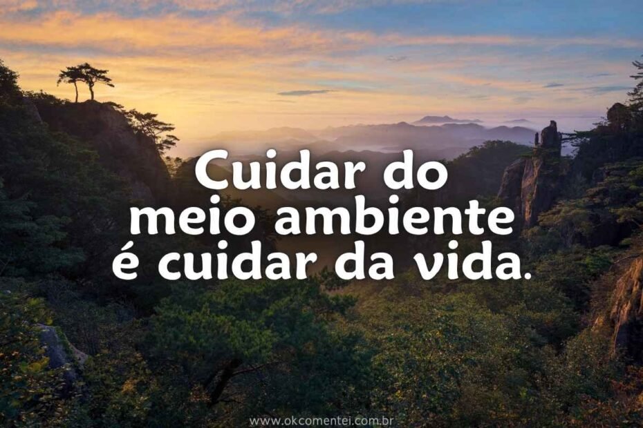 frases-do-meio-ambiente