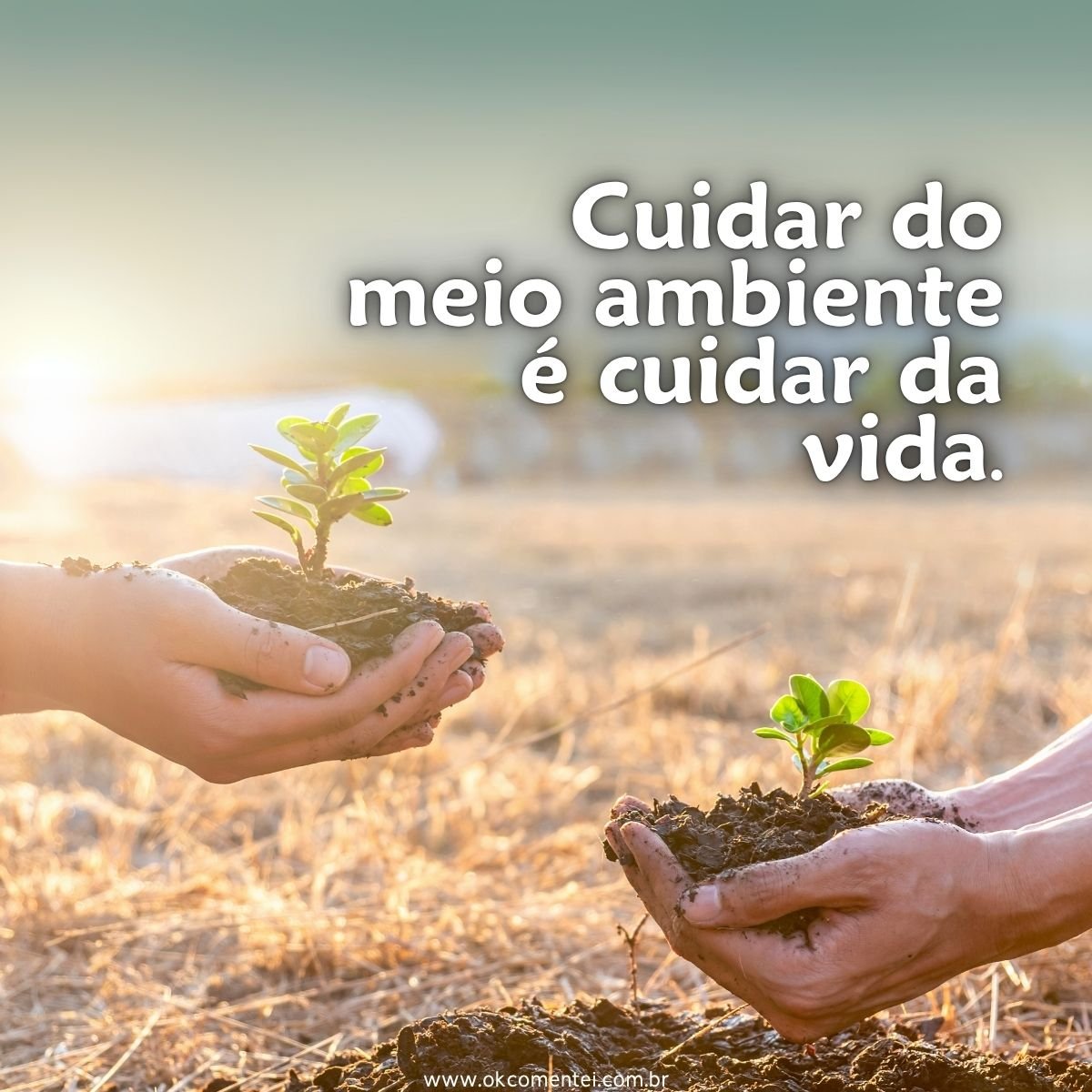 101 frases do meio ambiente que despertam consciência, cuidado e ação