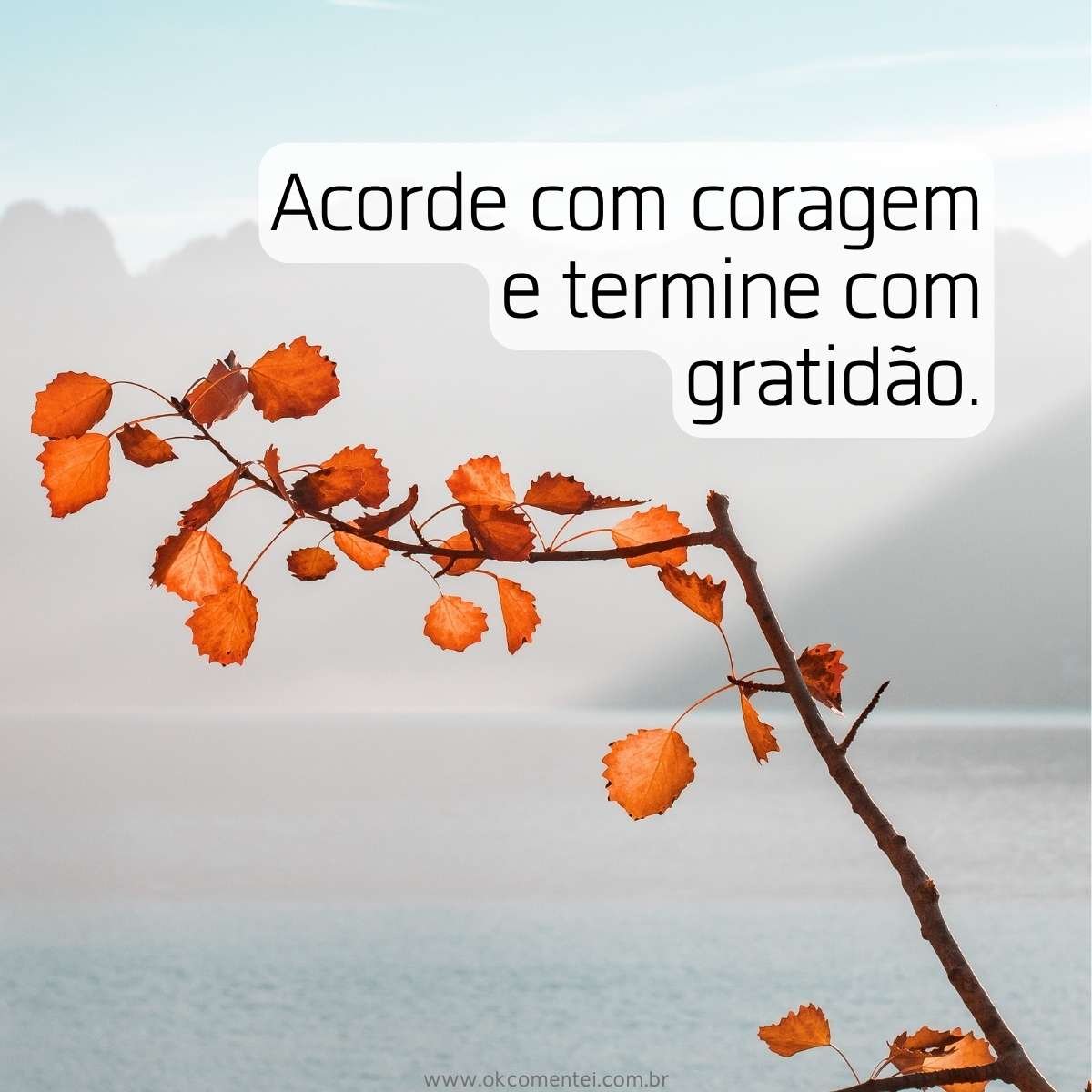 Frases positivas curtas: 121 inspirações que elevam o astral em poucas ...