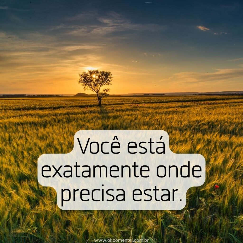 Frases positivas curtas: 121 inspirações que elevam o astral em poucas ...