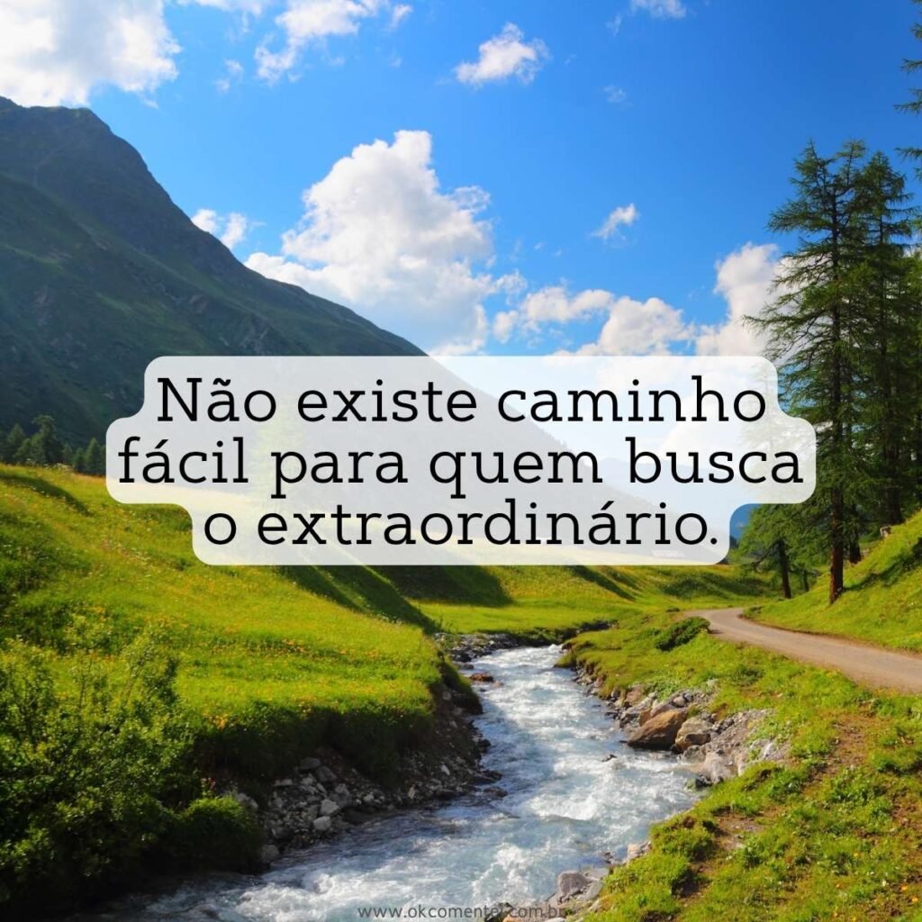 99 frases positivas para status que vão inspirar seus dias com leveza e ...