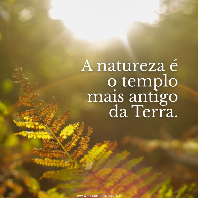 71 frases sobre natureza para celebrar a beleza do mundo natural