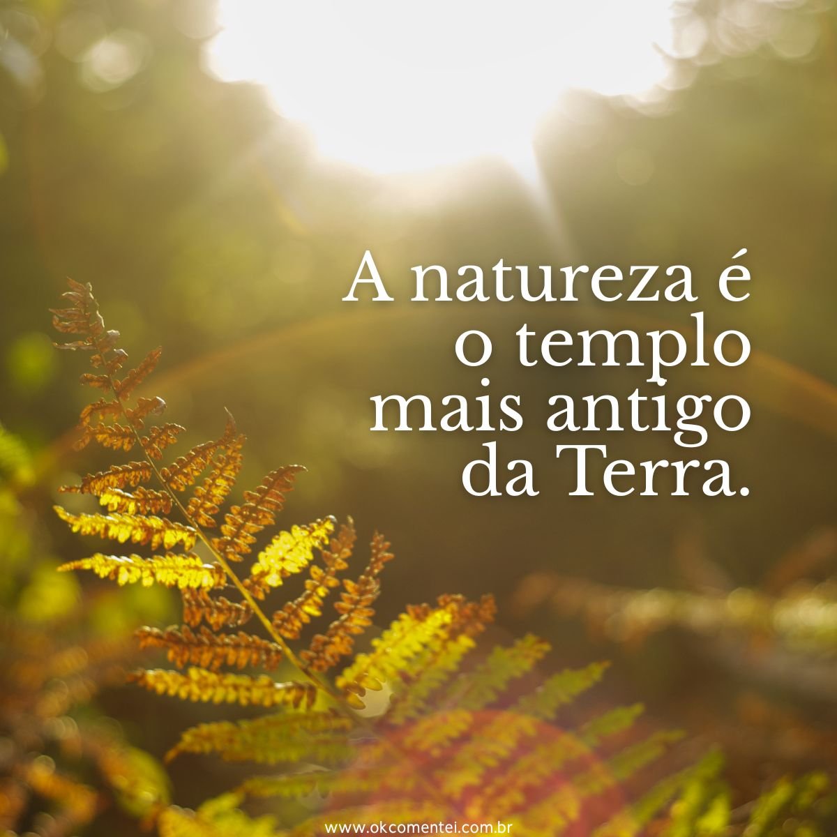 71-frases-sobre-natureza-para-celebrar-a-beleza-do-mundo-natural