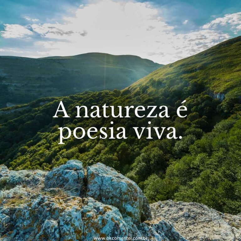 71 frases sobre natureza para celebrar a beleza do mundo natural