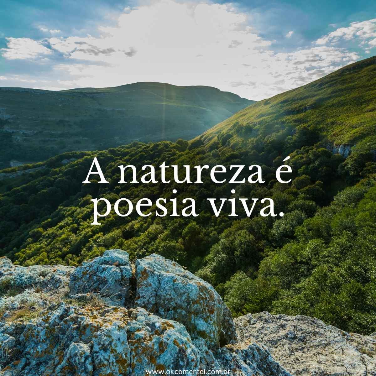 71 frases sobre natureza para celebrar a beleza do mundo natural