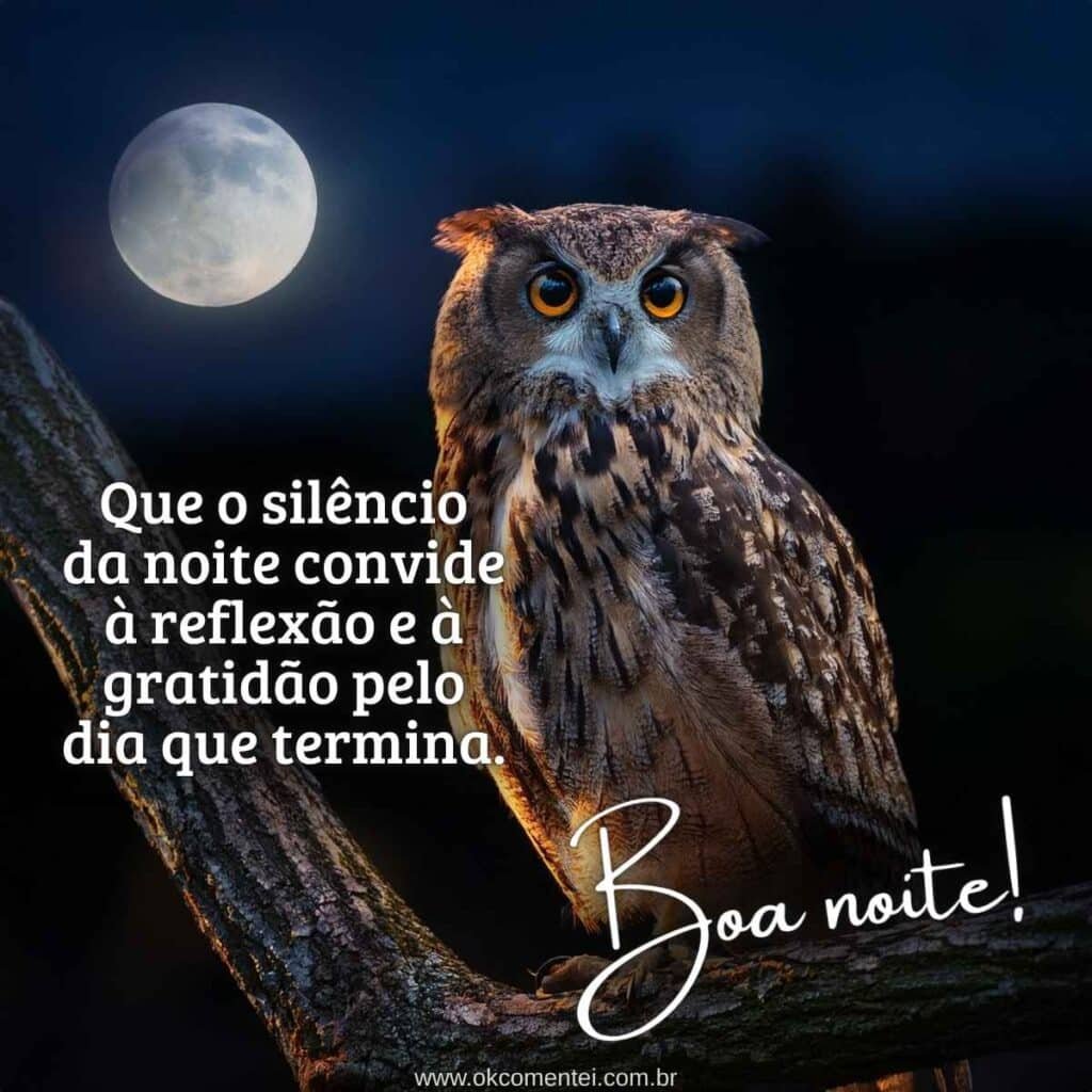 61 mensagens de boa noite: o guia completo para inspirar e fortalecer vínculos mensagens-de-boa-noite