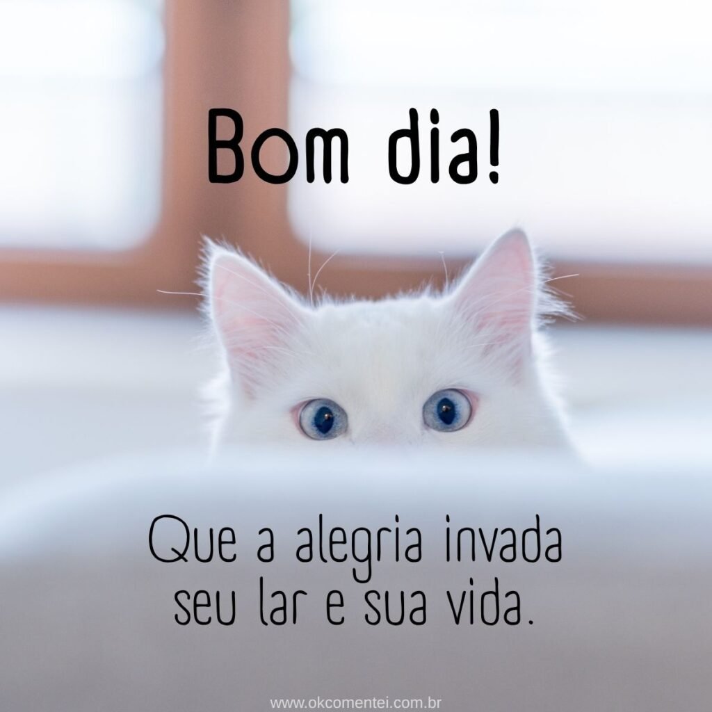 61 mensagens de bom dia: o guia completo para inspirar e conectar mensagens-de-bom-dia