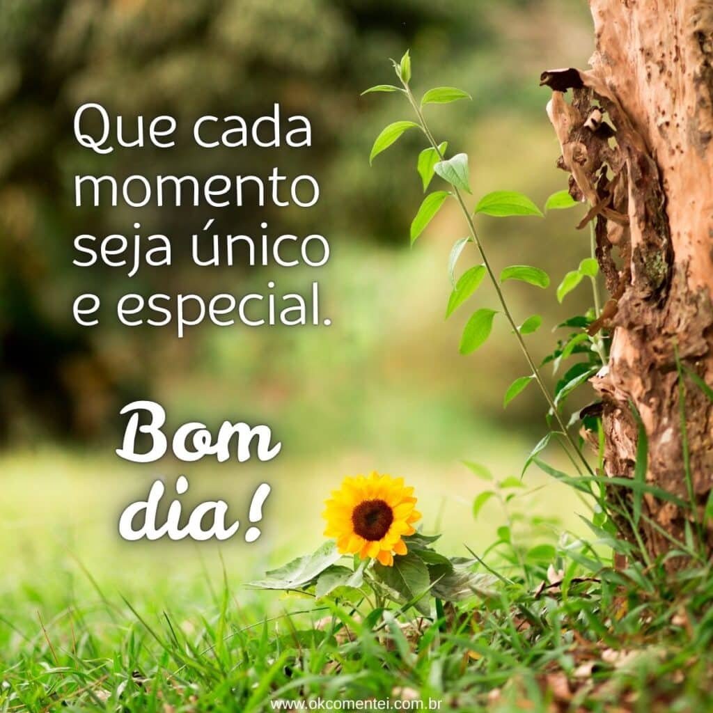 61 mensagens de bom dia: o guia completo para inspirar e conectar mensagens-de-bom-dia