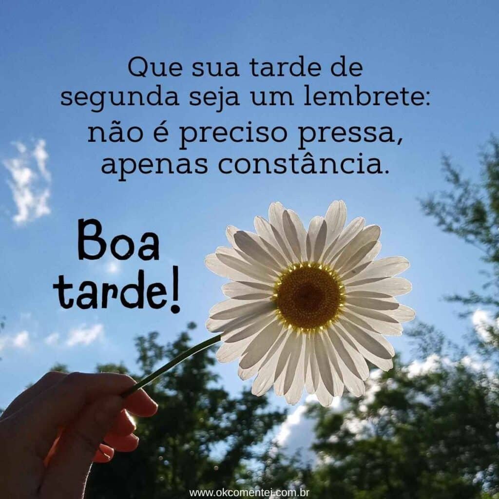 Boa tarde, segunda-feira: 52 mensagens para inspirar e compartilhar boa-tarde-segunda-feira