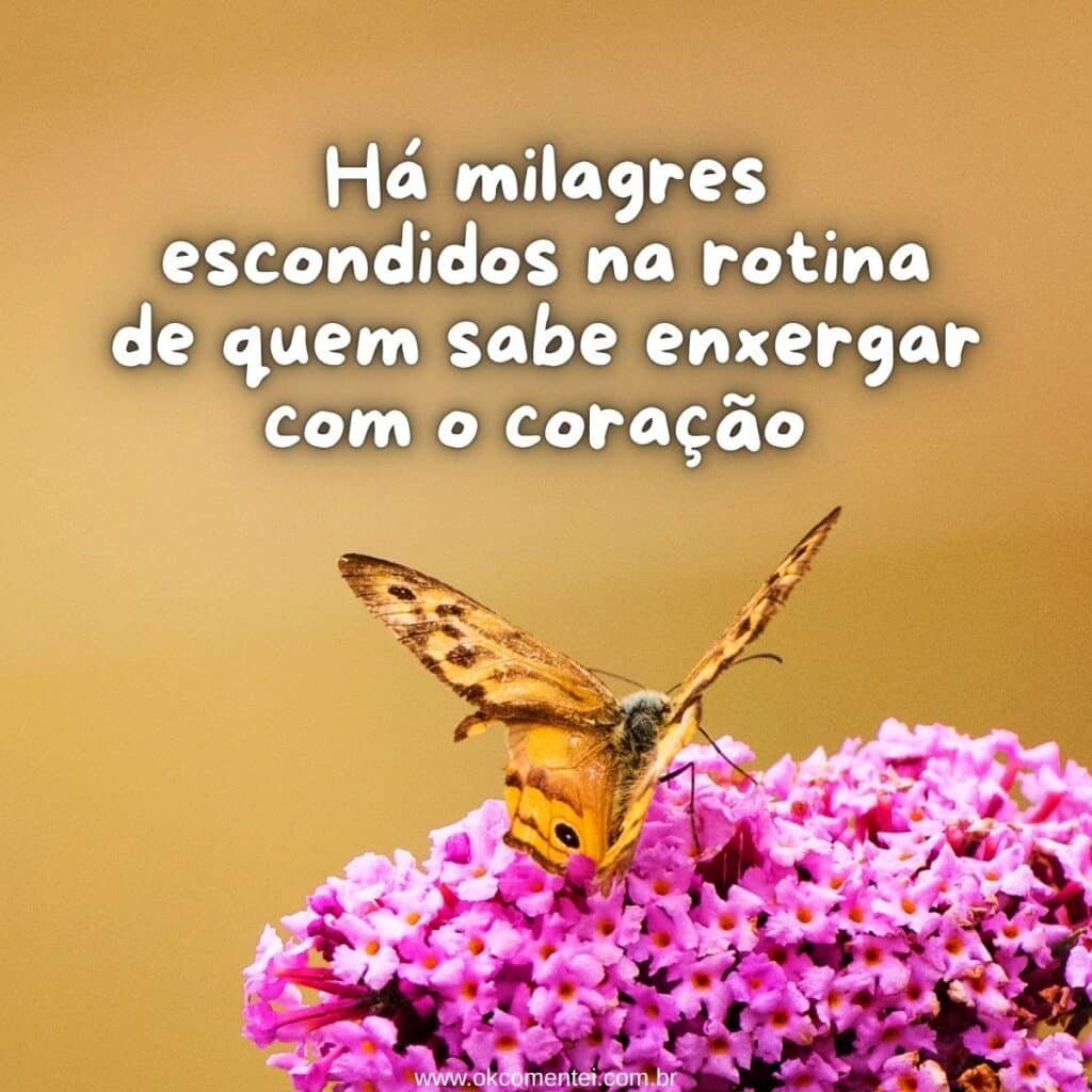 61 frases de arrepiar para status: inspire, emocione e impacte frases-de-arrepiar-para-status