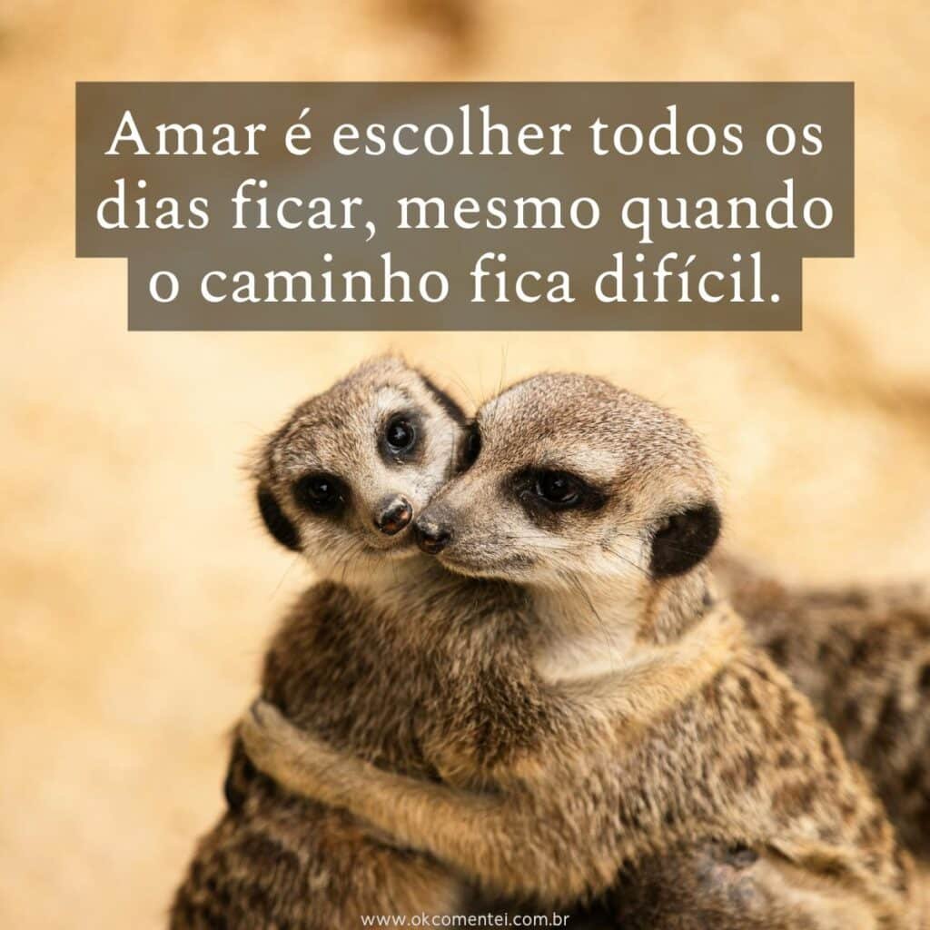 61 frases de arrepiar para status: inspire, emocione e impacte frases-de-arrepiar-para-status