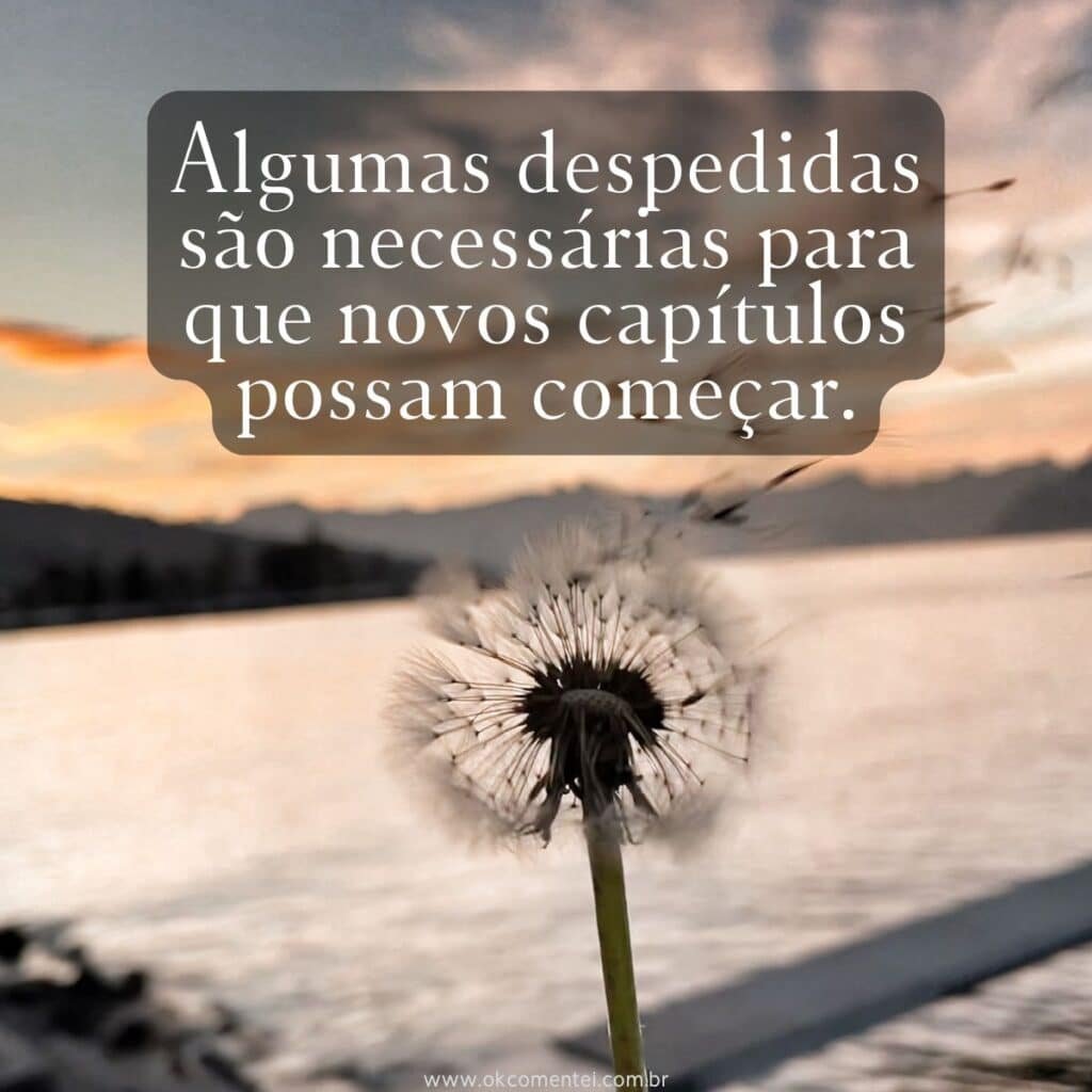 61 frases de arrepiar para status: inspire, emocione e impacte frases-de-arrepiar-para-status
